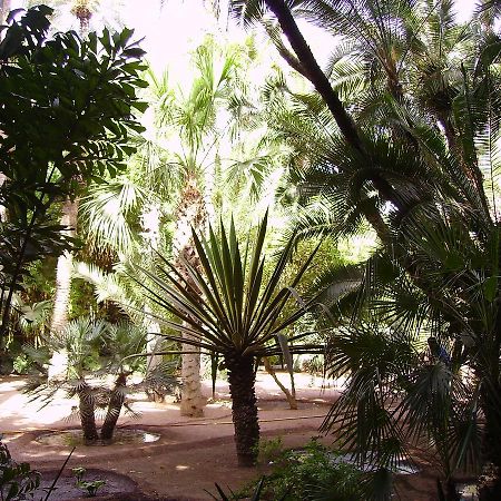 Appart Avec Vue Jardin/Majorelle Marrakesh Exteriör bild