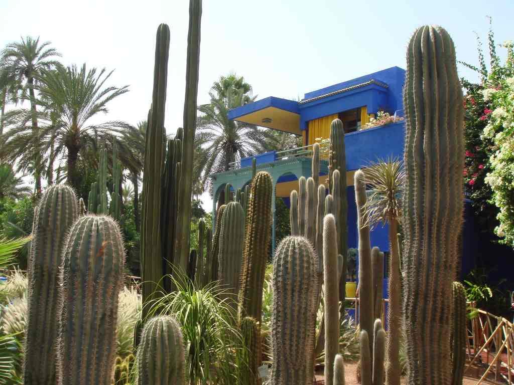 Appart Avec Vue Jardin/Majorelle Marrakesh Exteriör bild