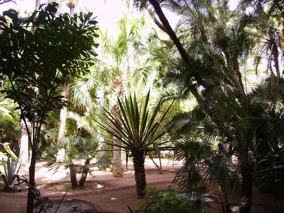 Appart Avec Vue Jardin/Majorelle Marrakesh Exteriör bild
